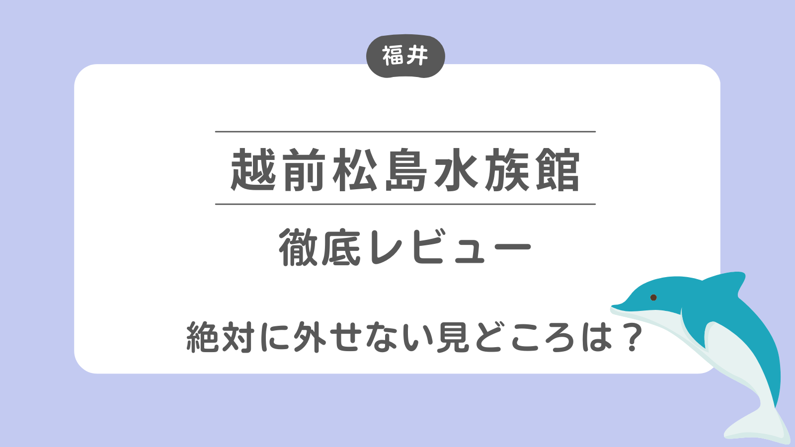 越前松島水族館　徹底レビュー　絶対に外せない見どころは？.